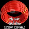 ท่อน้ำร้อน PAP MF 1216 3/8" (3 หุน)