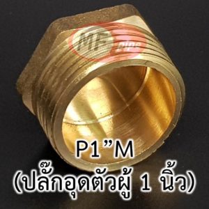 ปลั๊กอุด 1 นิ้ว