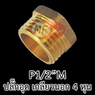 ปลั๊กอุดทองเหลือง ตัวผู้ 4 หุน