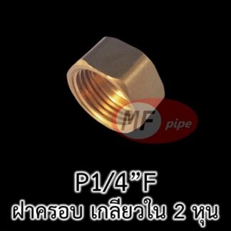 ปลั๊กอุด เกลียวใน (ตัวเมีย) 2 หุน (1/2")